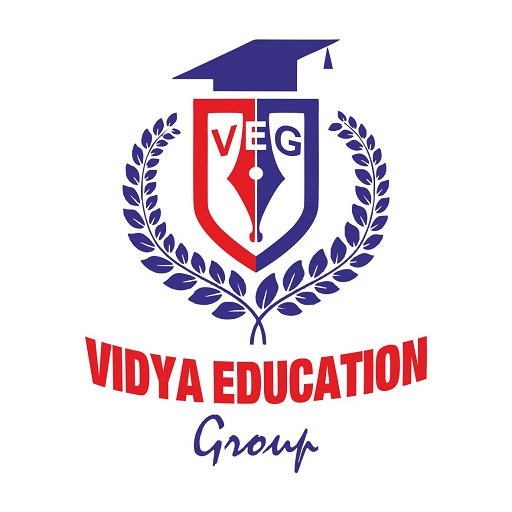 Vidya Education Group