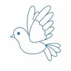 How to Draw Simple Birds