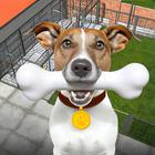 Animal Shelter