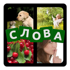 4 фото 1 слово на русском 2024