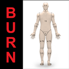 Burn Table