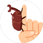 Beetle tap