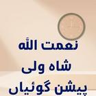 NaimatUllah Wali Prediction