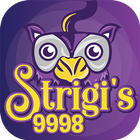 Strigi's 9998: 9 in 1 puzzles