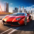 Fast Car Driving