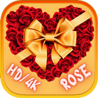 Rose pictures: all colors