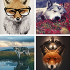 Fox HD Wallpapers