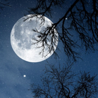 Relax Night