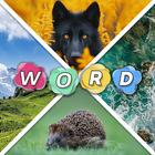 Guess Word
