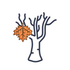 MM: Maple Maker Tree of Life