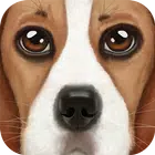 Ultimate Dog Simulator