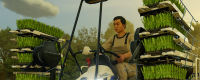 Introduction to the characteristics of wheat crops in "Farming Simulator 25"