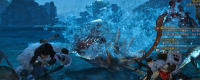 Introduction to the method of fishing squid into the road "Monster Hunter: The Wilderness"