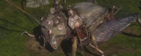Introduction to the specific location of General Phoenix Wings in "Black Myth: Wukong"