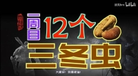 "Black Myth Wukong" Collection Guide for 12 Three Winter Insects in One Chapter