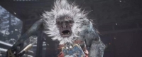 "Black Myth: Wukong" The Effect of Opinion Desire
