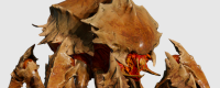 Introduction to the mechanism of "Jedi Soldier 2" Scorpion-eating combat