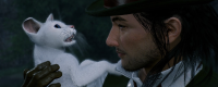 Introduction to the achievements of "Random Rise" for cats more than three meals