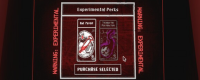 "White Knuckle" download and installation tutorial introduction