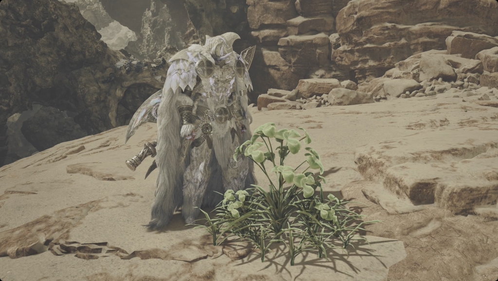 How to avoid the ‘Your item pouch is full’ warning in Monster Hunter Wilds