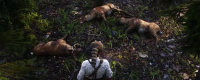 "Red Dead Redemption 2" Share the method of killing animals