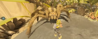 Sharing of Wolf Spider's Uninjured Fighting Skills in 