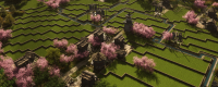 Introduction to the game features of "Celestial Kingdom"