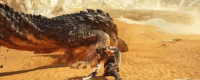 "Monster Hunter: The Wild" Shared the method of "Two Swords" on the Flying Dragons