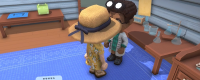 List of NPC entry conditions in "Jinken Town"
