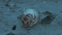 Where to find rime beetles in Monster Hunter Wilds