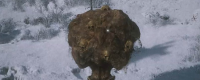 Introduction to the advantages and disadvantages of the stone man's transformation in 