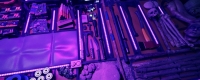 "Children of the Forest" Red Laptop Location Sharing