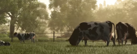 "Farming Simulator 25" icon description sharing