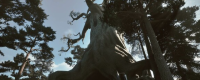 "Black Forest Trail" game features and content introduction