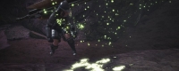 "Monster Hunter: World" game official website address introduction