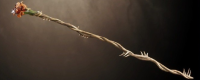 Introduction to the method of obtaining the Blood Rose Staff "The Elder Scrolls 4: Annihilation Remake"