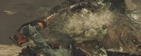 "Monster Hunter: The Wild" Inseparable Achievement Quick Brush Guide Share