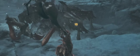 Introduction to the specific weaknesses of the shadow spider in "Monster Hunter: The Wild"