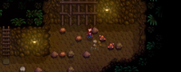 Introduction to the specific location of the Lava Crab in "Stardew Valley"