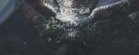 Introduction to the fall of the Boyi Dragon in Monster Hunter: The Wilderness