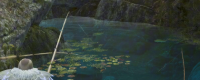 Share the gameplay strategy of "Monster Hunter: Wild" in "Fishing Confrontation"