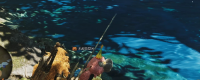 Introduction to the strategy of fishing for big bass in Monster Hunter: The Wilderness