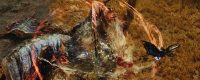 Introduction to the flavour-cutting factor of Monster Hunter: The Wilderness