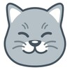 Curious Cat
