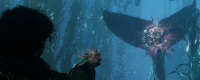 "Light and Shadow: Expedition Team No. 33" sharing of the cage achievement strategy