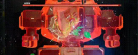 Share the first phase strategy of the Supervisor of "Double Shadows"