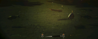 "Monster Hunter: The Wilderness" shared the strategy of fishing with egg bowfin fish