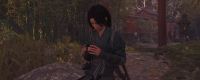 Share the Ninja War side mission strategy of 