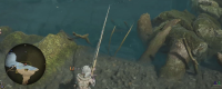 Introduction to the strategy of fishing for gluttonous tuna in Monster Hunter: The Wilderness