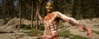 "Children of the Forest" miscellaneous code sharing